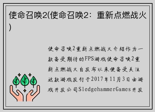 使命召唤2(使命召唤2：重新点燃战火)